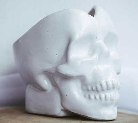 Керамический череп Ceramic by AVA