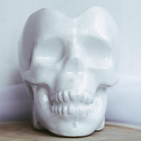 Керамический череп Ceramic by AVA