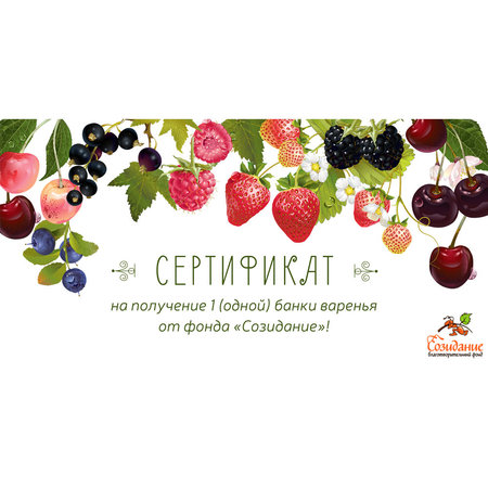 Подарочный комплект №5 от фонда "Созидание"